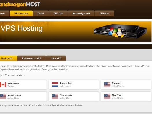 搬瓦工vps测评推荐：CN2 GIA线路的“王者”，如今还值得“上车”吗？
