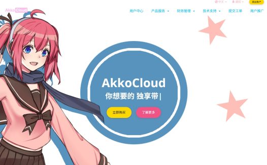 Akkocloud评测:我眼中那个“有点偏科”的线路优化小能手