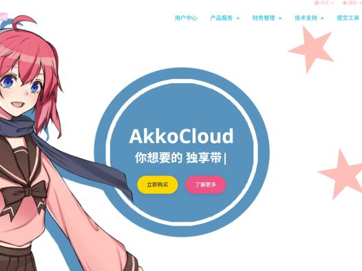 Akkocloud评测：我眼中那个“有点偏科”的线路优化小能手